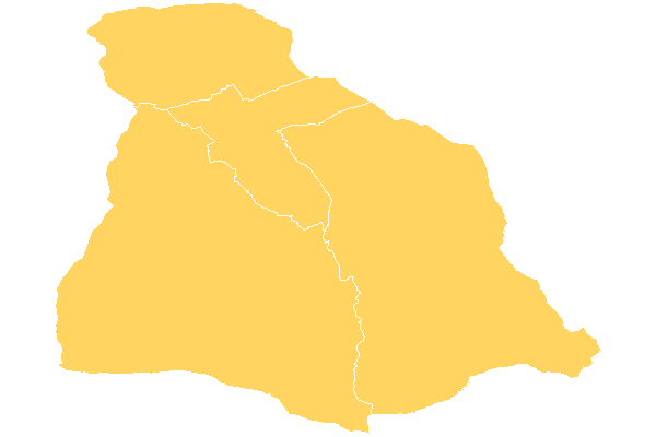 Niedźwiedź