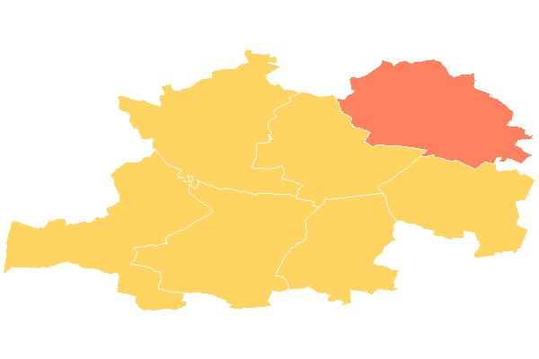 Borek Wielkopolski
